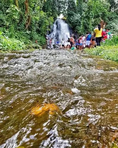 Trilha no Parque São Bartolomeu - Foto 4