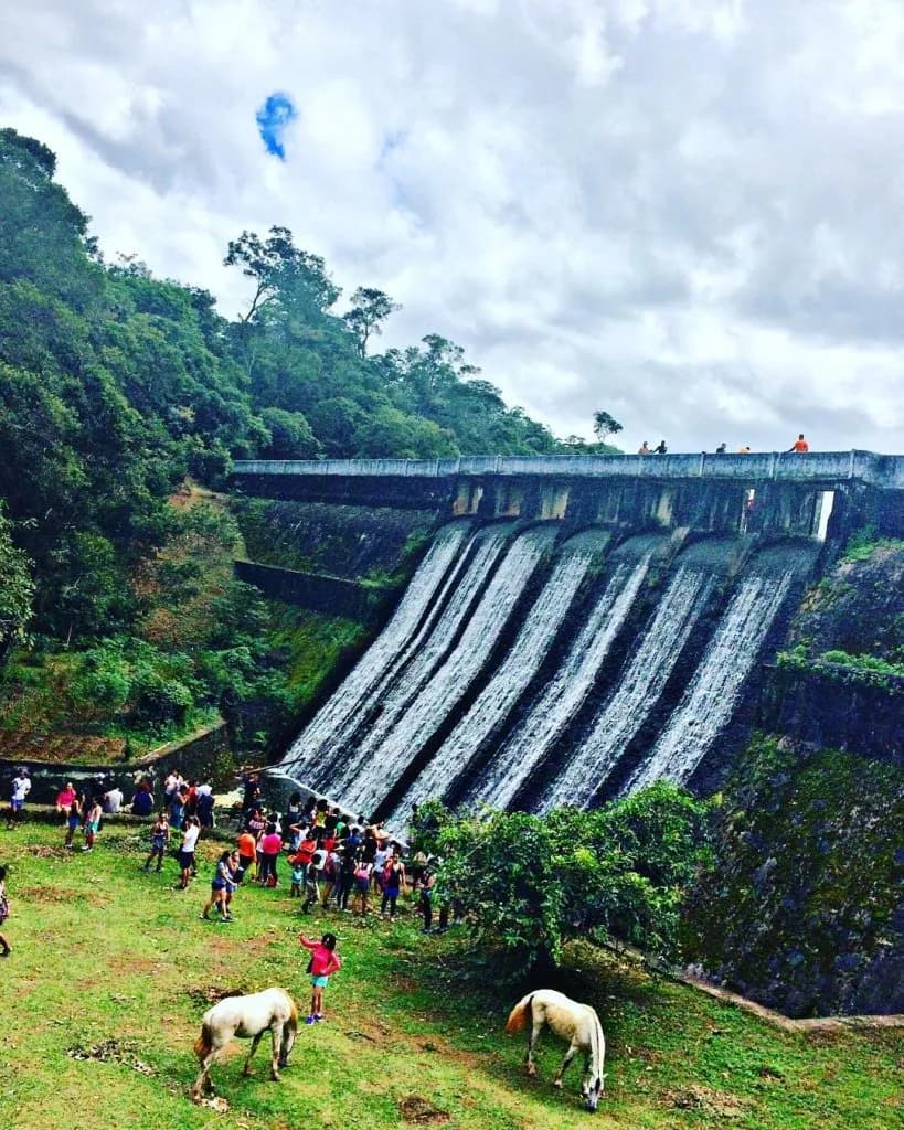 Trilha no Parque São Bartolomeu - Foto 2