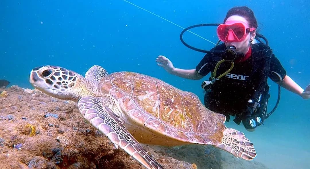 Mergulho na Barra - Foto 4