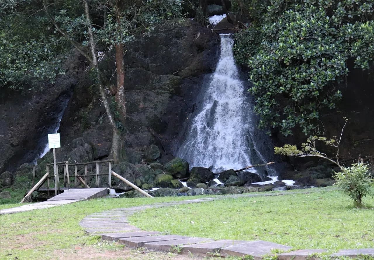 Trilha no Parque São Bartolomeu - Foto 3