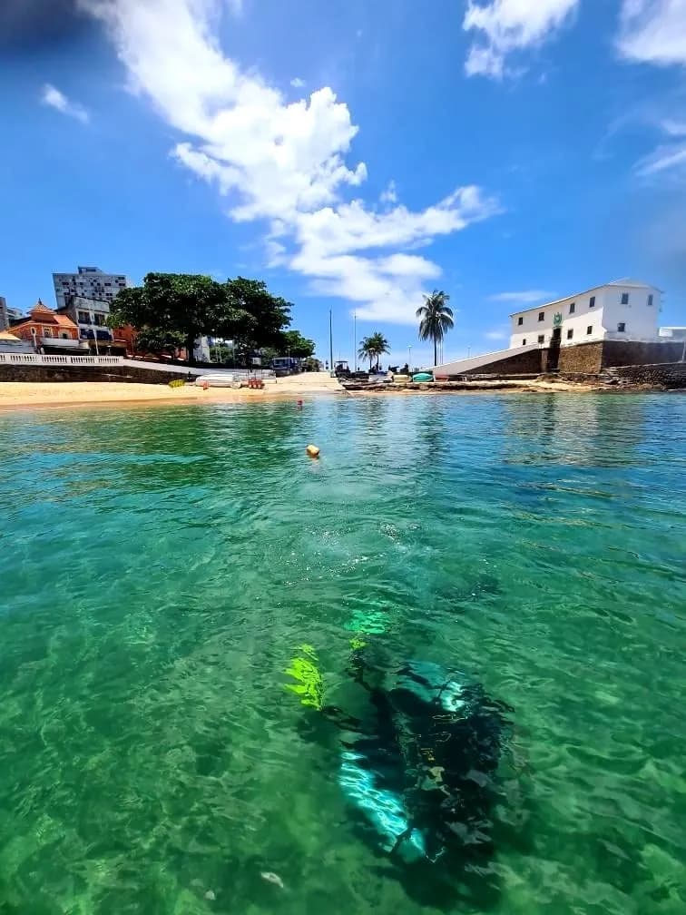 Mergulho na Barra