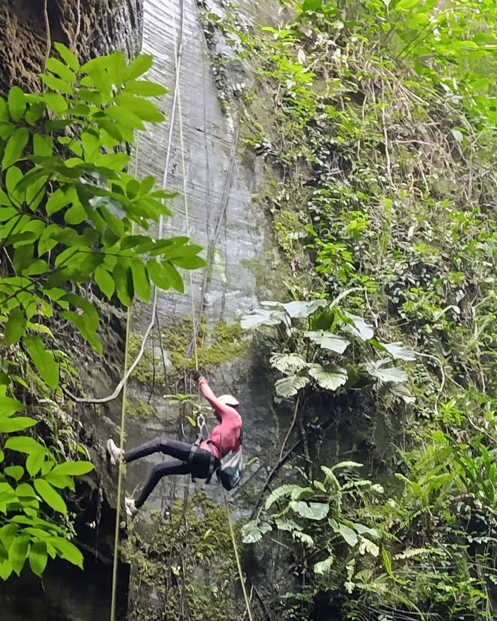 Uma pessoa descendo de rapel em um paredão cercado pela mata